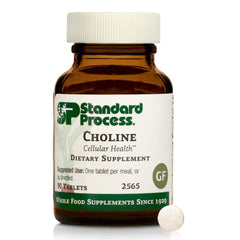 Standard Process Choline 180 mg tablet, front view, promotes healthy fat metabolism and nervous system support.