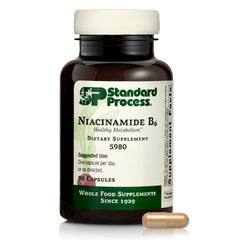 Standard Process Niacinamide B6 bottle showing daily energy metabolism support.