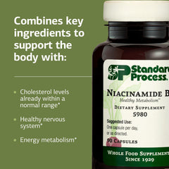 Label closeup for Standard Process Niacinamide B6 with key features.