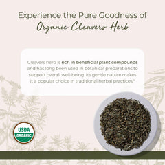 Starwest Botanicals Cleavers Herb with a fresh green aroma for seasoning.