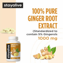 Stay Alive Ginger Capsules capsules close-up highlighting 10 to 1 extract potency.