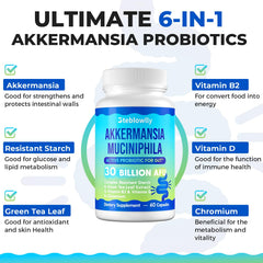 Steblowlly Akkermansia ingredients with green tea leaf and resistant starch emphasize synergy.