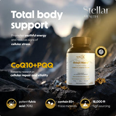 Capsules close-up from Stellar Health blend highlighting absorption-optimized formulation