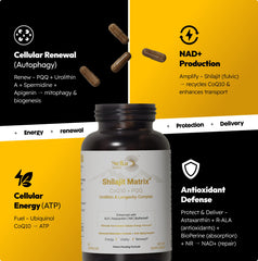Label detail of Stellar Health Complex showing Shilajit and CoQ10 components