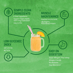 Sunwarrior brown rice protein powder ingredients close-up highlights single source brown rice.