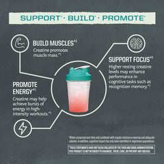 Sunwarrior Creatine Monohydrate dissolving in water for quick hydration.