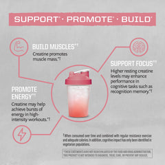 Sunwarrior Creatine Monohydrate bottle on shelf reflects vegan, clean nutrition.
