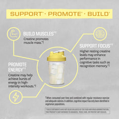 Sunwarrior Creatine Monohydrate Powder workout shaker suggests convenient, steady energy during sessions.