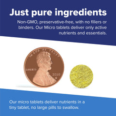 Superior Source B Complex tablets in hand, supports daily energy and growth