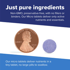 Superior Source Zinc Plus Vitamin C graphic highlighting antioxidant support