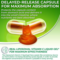 SUPPLEMENTS STUDIO organic acerola cherries representing natural vitamin C source