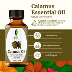 SVA ORGANICS Calamus essential oil diffuser scene highlighting earthy aromatherapy benefits.