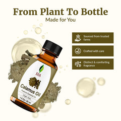 SVA ORGANICS Calamus oil for hair care and scalp massage after dilution.