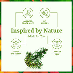 SVA Organics Fir Balsam oil diffusing earthy scent in diffuser