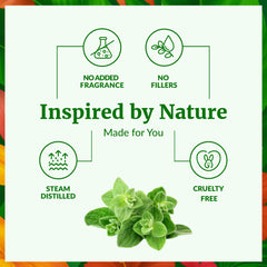 SVA ORGANICS oregano oil diluted with shampoo for hair care