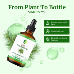 Hair and scalp massage with diluted SVA Pine Needle Oil enhances routine.