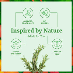 SVA Rosemary oil in a diffuser for energizing aromatherapy and room aroma.