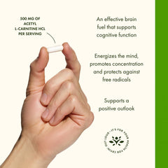 Swanson Acetyl-L-Carnitine bottle front showing 100 capsules for value.