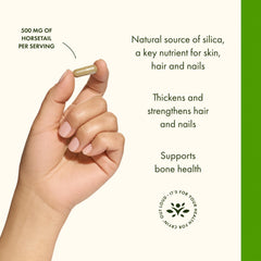 Purity testing in independent labs for Swanson Horsetail product.