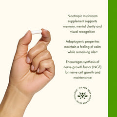 Swanson Lion's Mane capsules in hand for easy daily use
