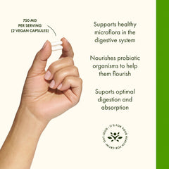 Ingredient panel of Swanson Prebiotic Capsules showing 95% FOS from NutraFlora