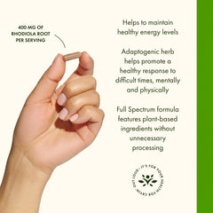 Swanson Rhodiola Rosea Root dosing instructions on pack for daily use
