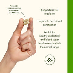 Swanson Tri-Fiber ingredients apple pectin component for smooth digestion