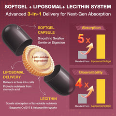 Talyvoriathor liposomal red yeast rice capsules, convenient daily dose for metabolic balance.