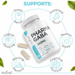 Teaveli Pharma GABA 250 mg fermentation process image for wellness.