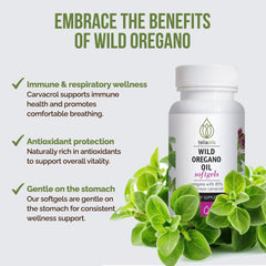 Teliaoils oregano oil cap closeup highlights secure, travel-ready packaging.