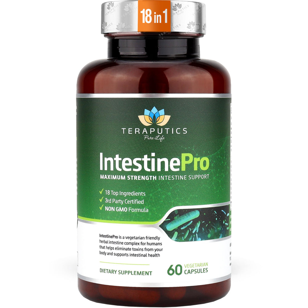 Teraputics IntestinePro bottle front showing the product as part of a daily gut health routine.