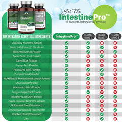 Teraputics IntestinePro bottle label emphasizing non-GMO formulation and premium ingredients.