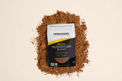 Terrasoul Five Mushroom Blend in a creamy soup bowl for earthy depth.