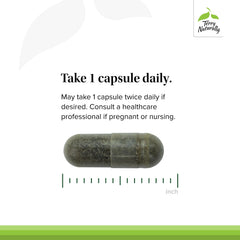 Display packaging of Terry Naturally Andrographis EP80 highlighting clean nutrition and natural ingredients.