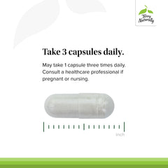 Terry Naturally Be Mobile type II collagen graphic indicating joint structure support.