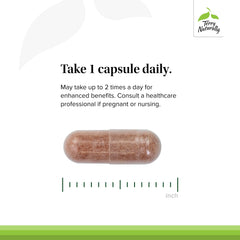 Grape seed OPC visual graphic representing antioxidant-rich blend in Terry Naturally OPC.