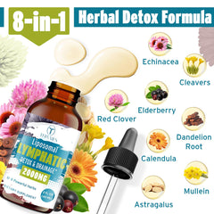 Close-up of elderberry visual on Tervaies Liposomal Lymphatic Drops packaging.