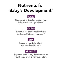 Theralogix TheraNatal tablets and folate section highlighting daily DHA and choline benefits.