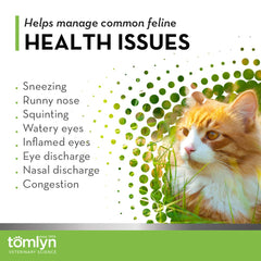 Lysine powder sprinkled on cat food for daily immune support