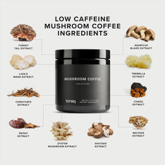 Toniiq mushroom blend with Lion's Mane and Cordyceps suggests cognitive focus and stamina.