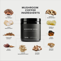 Toniiq Mushroom Coffee features Lions Mane and Cordyceps infusion for premium notes.