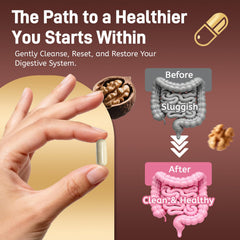 Totaria black walnut extract ingredient panel illustrating gut health support