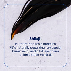 Trace Minerals Shilajit Resin spoon portion highlighting a convenient pea-sized serving.