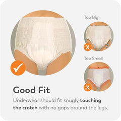 TRANQUILITY overnight underwear absorbent core detail highlights fluid containment