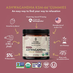TRIBE ORGANICS Ashwagandha gummies bottle close-up highlighting 600 mg KSM-66.