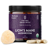 TRIBE ORGANICS Lion’s Mane supplement bottle supports daily focus and mental clarity.