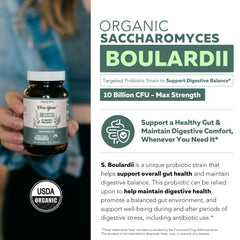 Triquetra Health S. boulardii capsules close-up for easy daily digestion support.