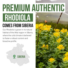 Siberian habitat imagery representing the natural source of Triquetra Health rhodiola