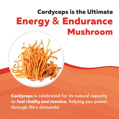 Triquetra Health US-grown cordyceps field indicating purity and traceability.