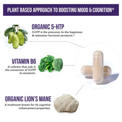 Triquetra Health Vitamin B6 cofactors and Lion's Mane capsule detail emphasizes focus.